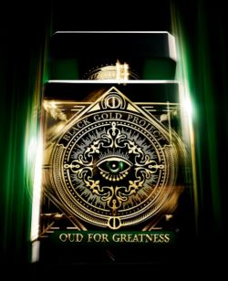 Oud for Greatness Neo by Intitio Parfums Prives