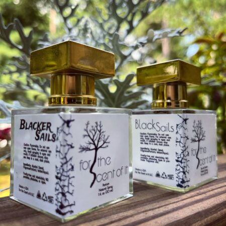 Black Sails and Blacker Sails For the Scent Of IT