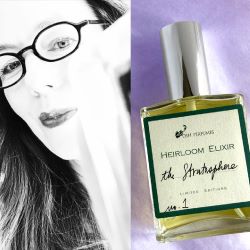 DSH Perfumes The Stratosphere by Dawn Spencer Hurwitz