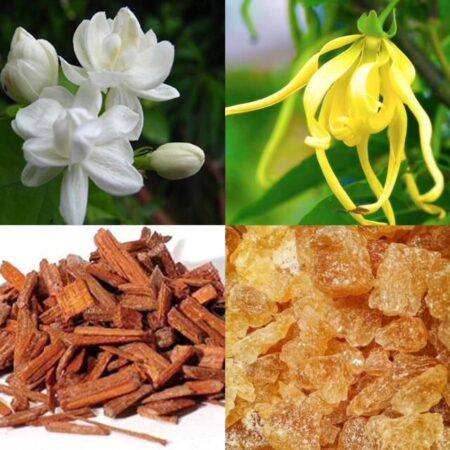 Jasmine, Ylang-ylang,, Sandalwood, Benzoin ingredients