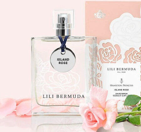 Lili Bermuda Island Rose