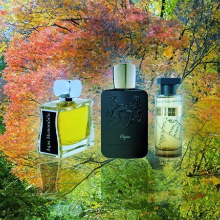 Best Transitional Fragrances from Summer to Autumn