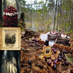 Black Forest by Solstice Scents