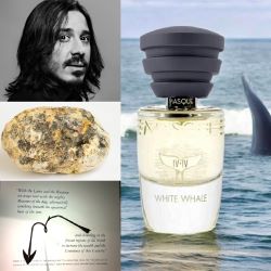 White Whale by Masque Milano won the Premio Aromata award 2024