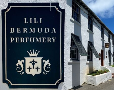 Lili Bermuda Stewart Hall Perfumery