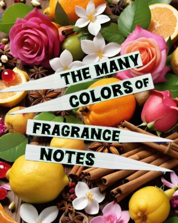 What are popular fragrance notes