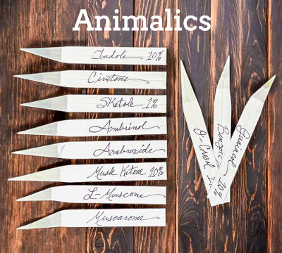 Animalic notes in perfumery