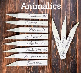 What are animalic notes