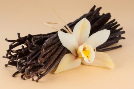 natural vanilla perfumes