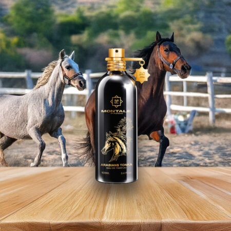 Montale Arabians Tonka