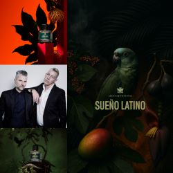 Aedes de Venustas SUEÑO LATINO