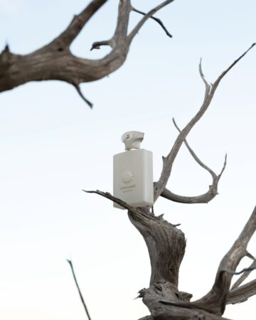 Amouage Decision review