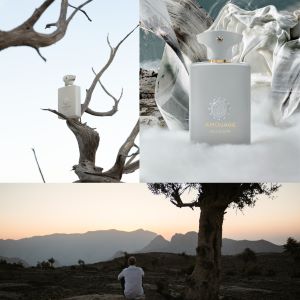 Amouage Decision Review