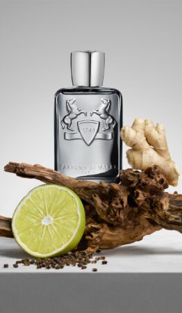 Castley by Parfums de Marly