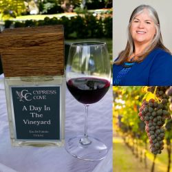 Cypress Cove A Day in The Vineyard