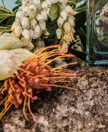 Pacific Rock Flower by Goldfield and Banks
