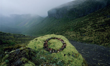 Photograph Martin Hill