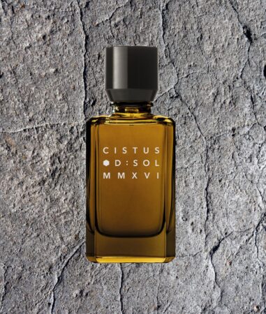 CISTUS by D:Sol