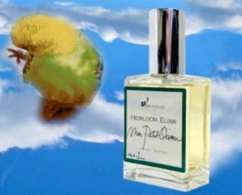 DSH Perfumes Mon Petit Oiseau