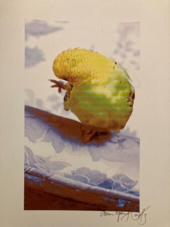 Heirloom Elixir 38 DSH Perfumes Mon Petite Oiseau