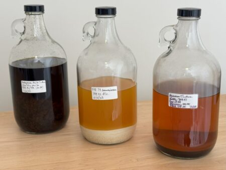 On The Nose Perfumes tinctures