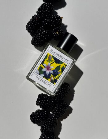 The 7 Virtues Blackberry Lily