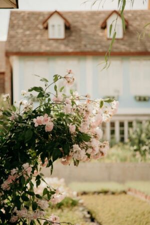 beautiful cottages