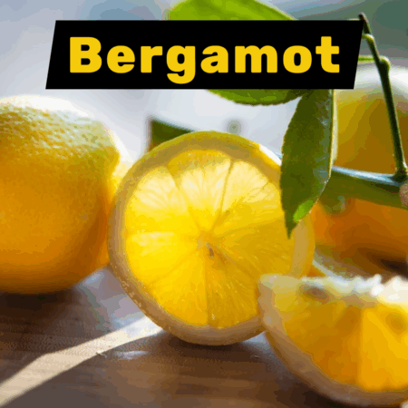 Bergamot key ingredient in chypre