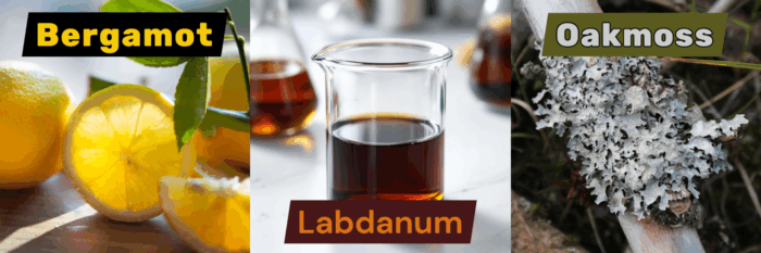 Key Chypre ingredients