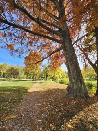 Best Autumn perfumes