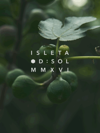 D Sol Isleta by Michael Nordstrand