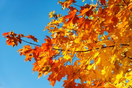 best autumn perfumes