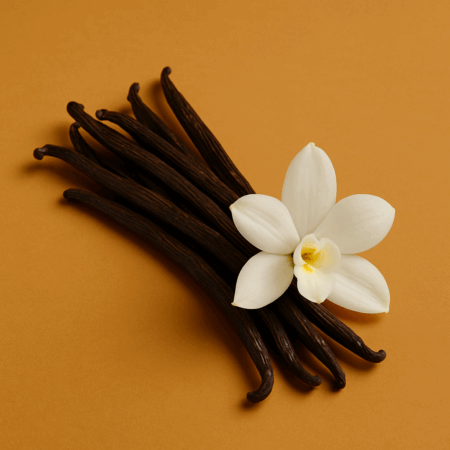 Vanilla flower and beans