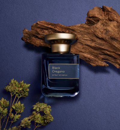 Atelier Materi Black Oregano