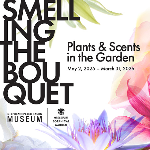 Missouri Botanical Gardens Smelling the Bouquet