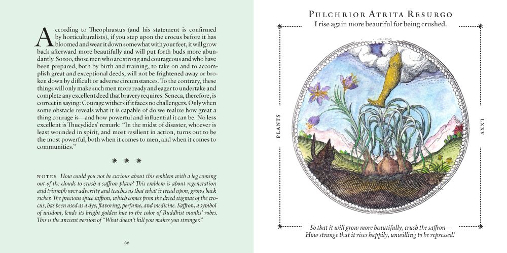 from Symbolorum The Secret Wisdom of Emblems by Mandy Aftel