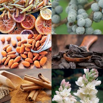 Italian baking ingredients